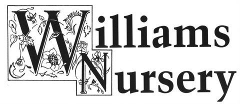 Williams Nursery Garden Shop