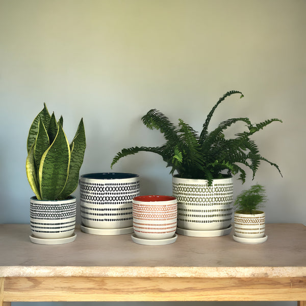 Colorful Plant Pots With Attached Saucer