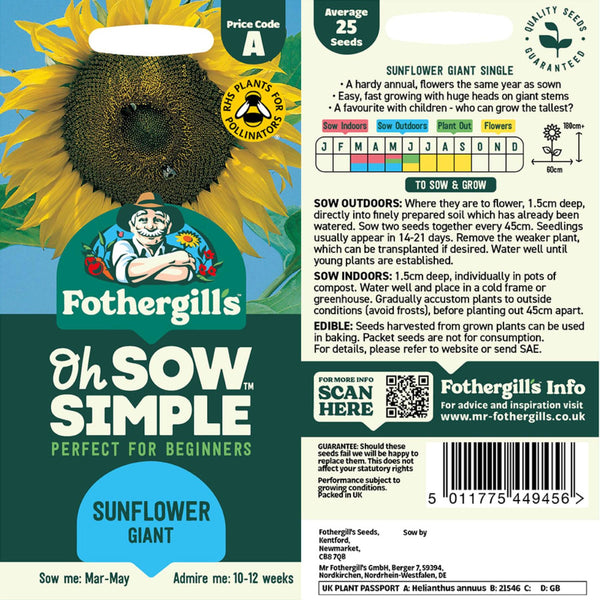 Sunflower Giant Seed