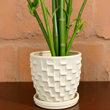 Escher Planter with attached Saucer