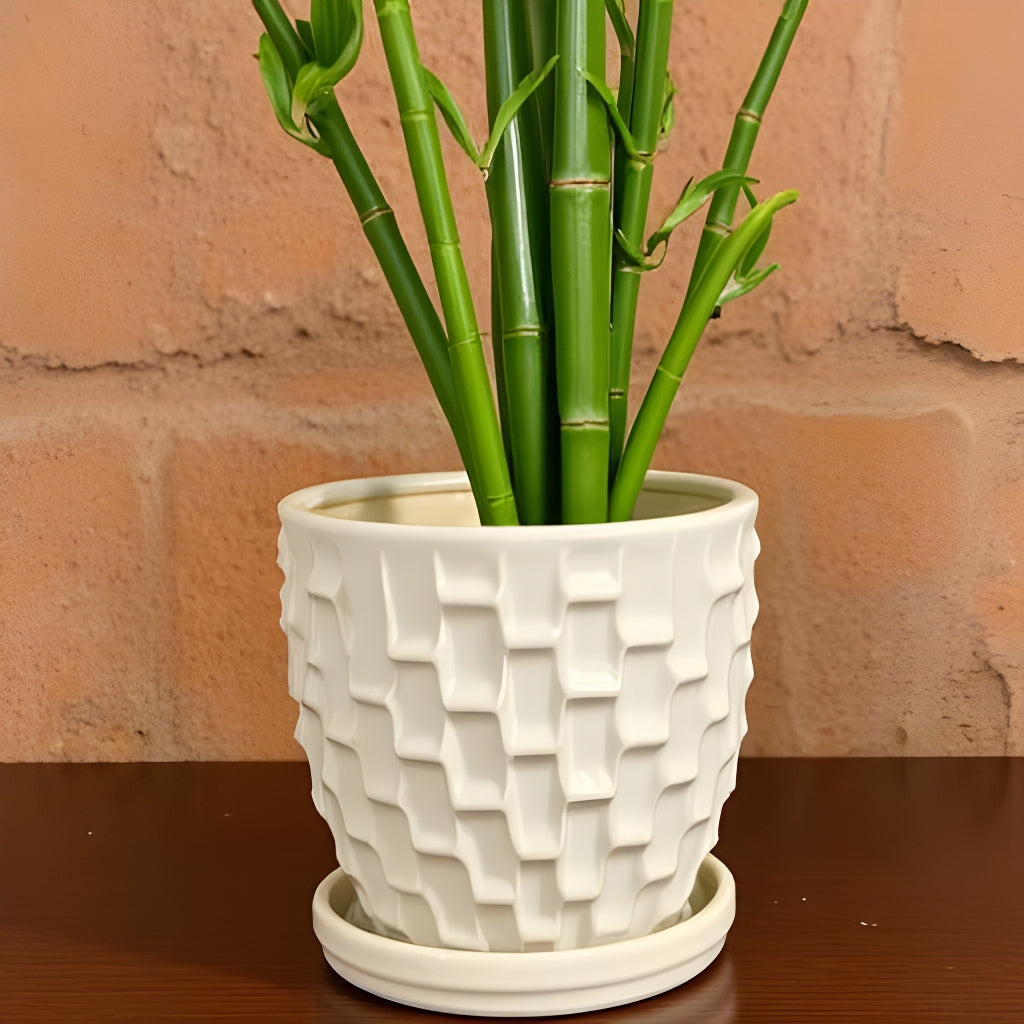 Escher Planter with attached Saucer
