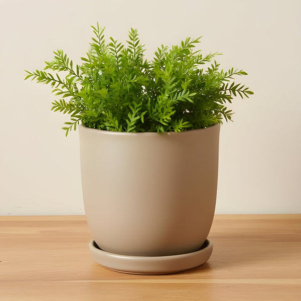 Chatham Egg Pot with Attached Saucer