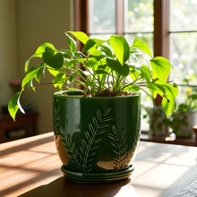 Kora Planter with Attached Saucer
