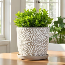 Corinne Planter with Attached Saucer