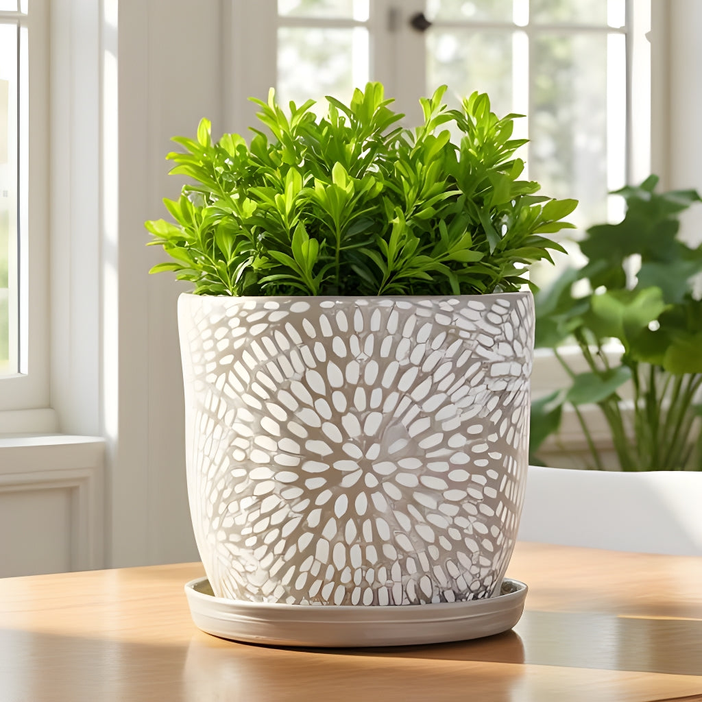 Corinne Planter with Attached Saucer