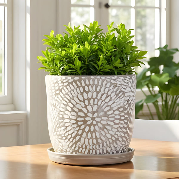 Corinne Planter with Attached Saucer